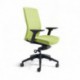 Kancelářská židle čalouněná bez podhlavníku, černý plast, zelená 203 (J2 BP)