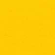 Žlutá N11 (ANT)